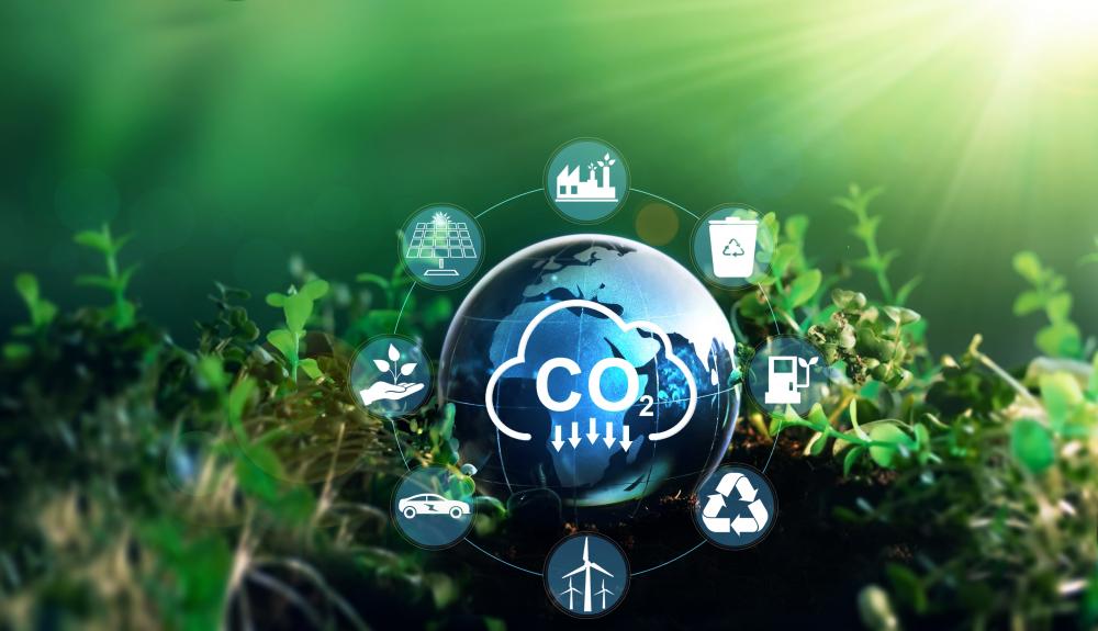 Tamilnadu Petroproducts Appoints EY-Parthenon to Lead Carbon-Neutral Initiative