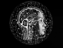 3DEXPERIENCE Lab Helps BrainSightAI to Uphold NeuroScience using AI