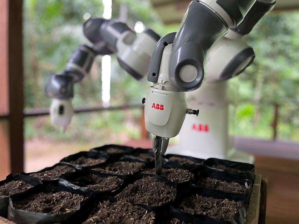 ABB Robotics and Junglekeepers Join Forces to Combat Deforestation